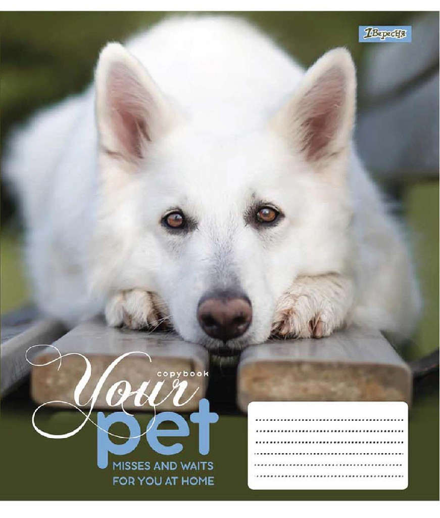Зошит 18 кл. 1В Dog loyality, 765422