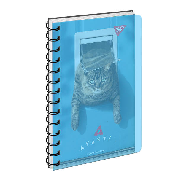 Тетрадь В6/144 кл. YES пл. обл. Cat, 160140