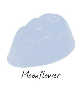 Аромасвічка Scentchips Moonflower/Місячна квітка , 251392 3