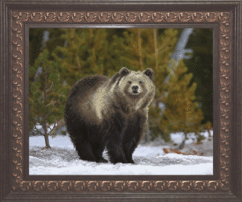 Схема для вышивания бисером СБ-175 39*31,5 см на авторской канве ТМ "Чарівна мить"