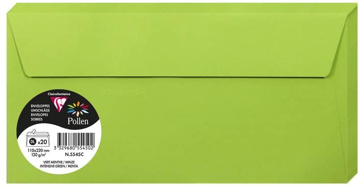 Конверт декоративний Pollen DL (110*220 мм)/120 г, MInt/М’ятний, 55545C