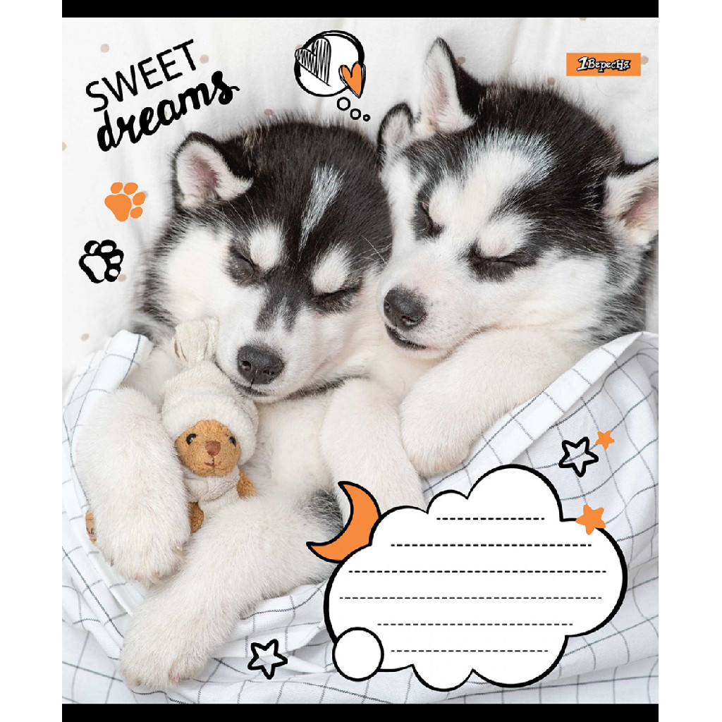 Тетрадь 18 кл. 1В Sweet dreams, 765815