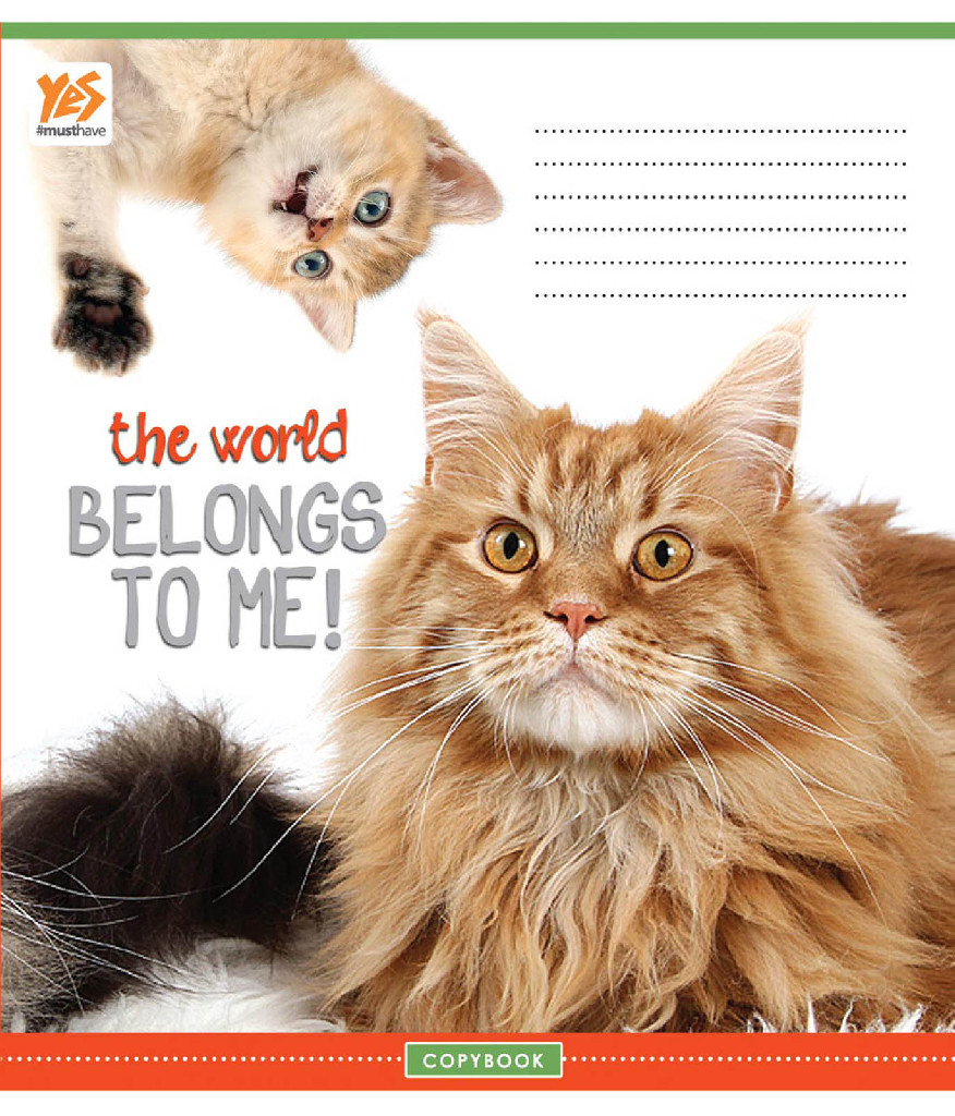 Зошит 12 лін. YES Cats run the world-17, УФ-виб., 760974 (0554)