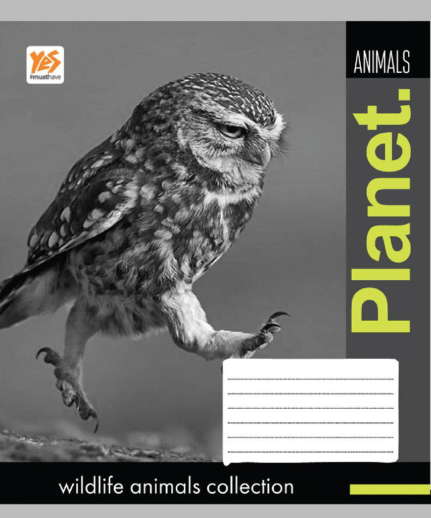 Зошит 24 кл. YES Wildlife animals-17, 760940 (0950)