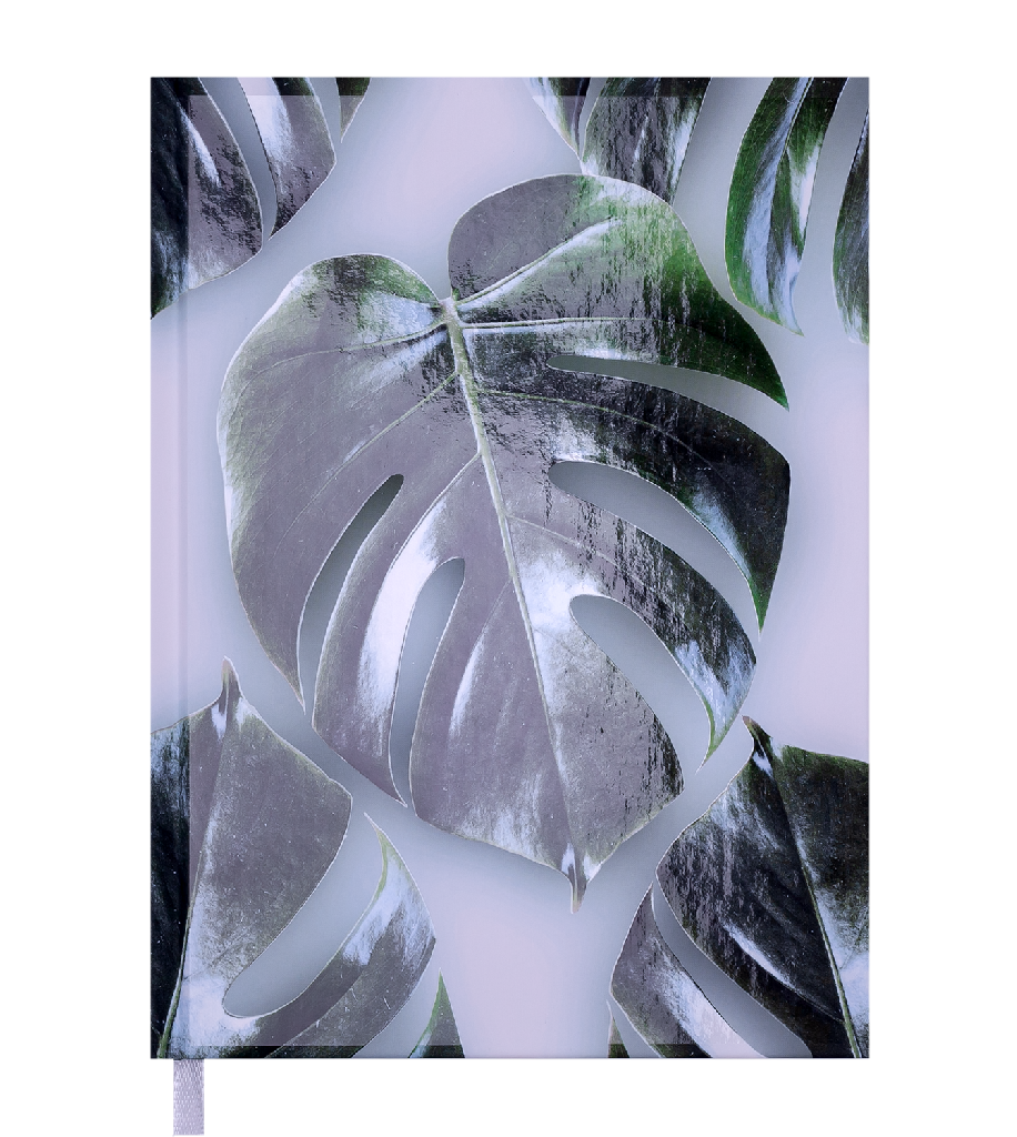 Щоденник недатований Fancy, A5, 288 стр., зелений, BM.2059-04