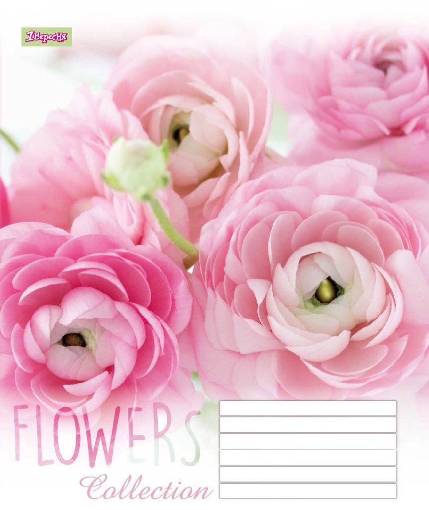 Зошит 96 лін. 1В Flowers dream -17, 760180 (8347)
