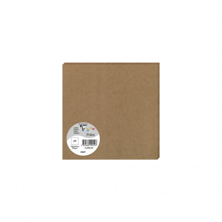 Заготовка д/открыток Pollen Kraft 160*160 мм/200 г, 29012C