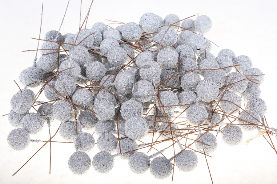 Ягода в сахоре (1,5 см) - 5-27378