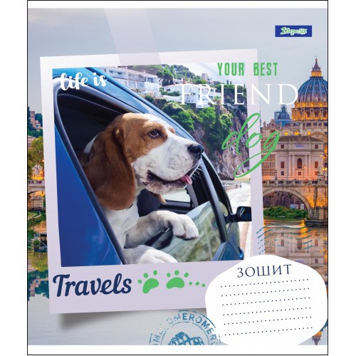 Зошит 24 лін. 1В Your Best Friend, 764584