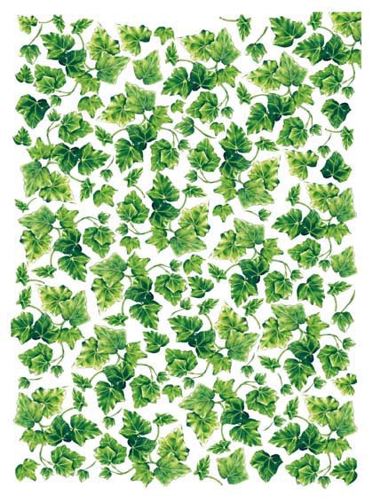 Карта декупажна 50*70 см, Плющ в стилі модерн, 80 г/м², CAL.001 Calambour